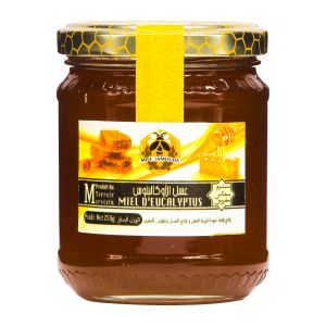 Miel d'eucalyptus - 250g